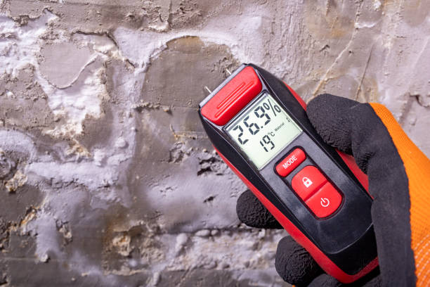 Home Mold Removal in Absecon Highlands, NJ
